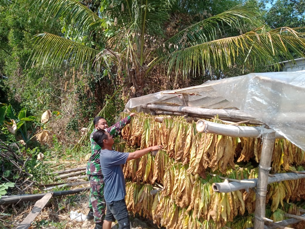 TMMD ke-125 Kodim Jombang Bangun Kuat Sinergi Sosial di Ngusikan