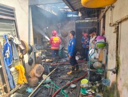 Kebakaran Landa Gudang Penetasan Ayam di Tulungagung, Kerugian Capai Rp100 Juta