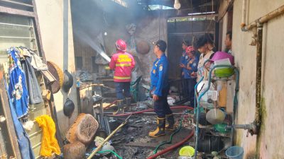 Kebakaran Landa Gudang Penetasan Ayam di Tulungagung, Kerugian Capai Rp100 Juta