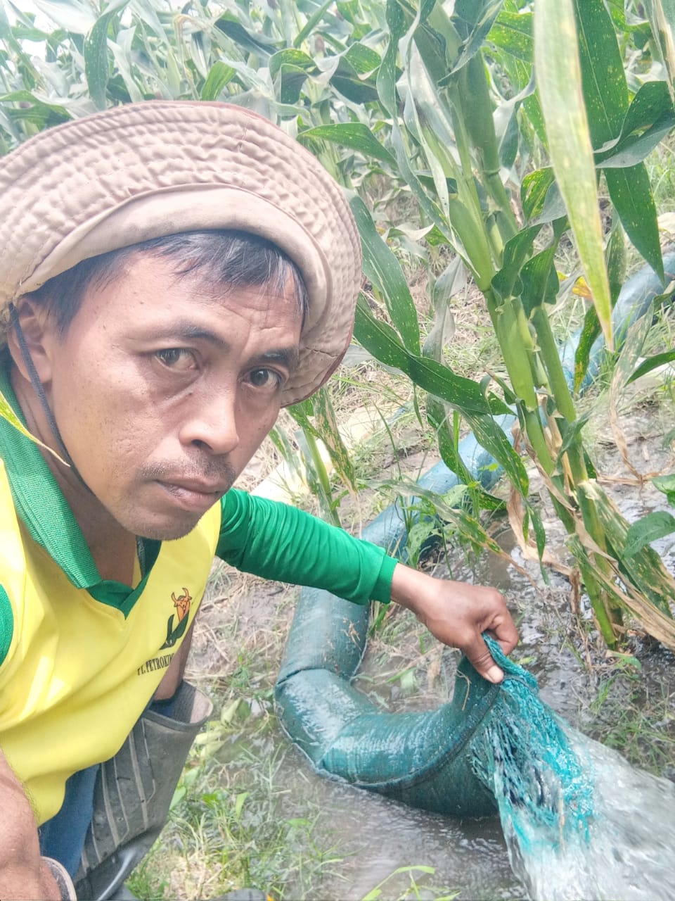 Hadapi Musim Kemarau, Petani Kediri Gunakan Diesel Air untuk Irigasi Sawah