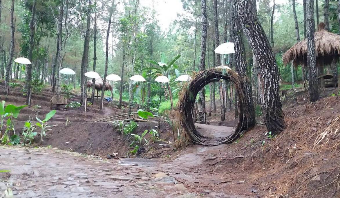 Menjelajah Ngetos: 4 Destinasi Wisata yang Patut Anda Kunjungi di Nganjuk