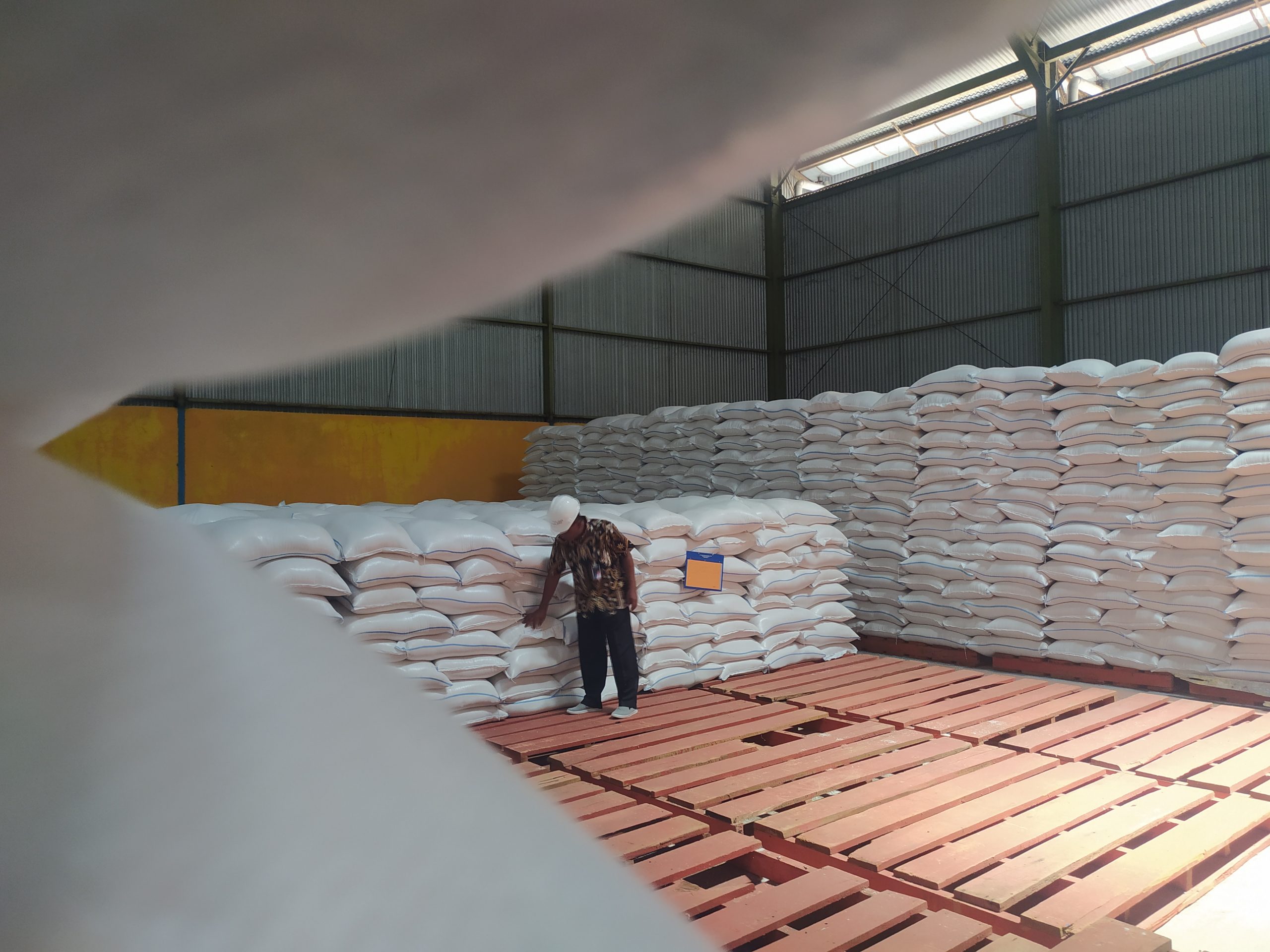 Serangan Hama Wereng Tak Goyahkan Penyerapan Gabah, Bulog Ponorogo Catat Surplus