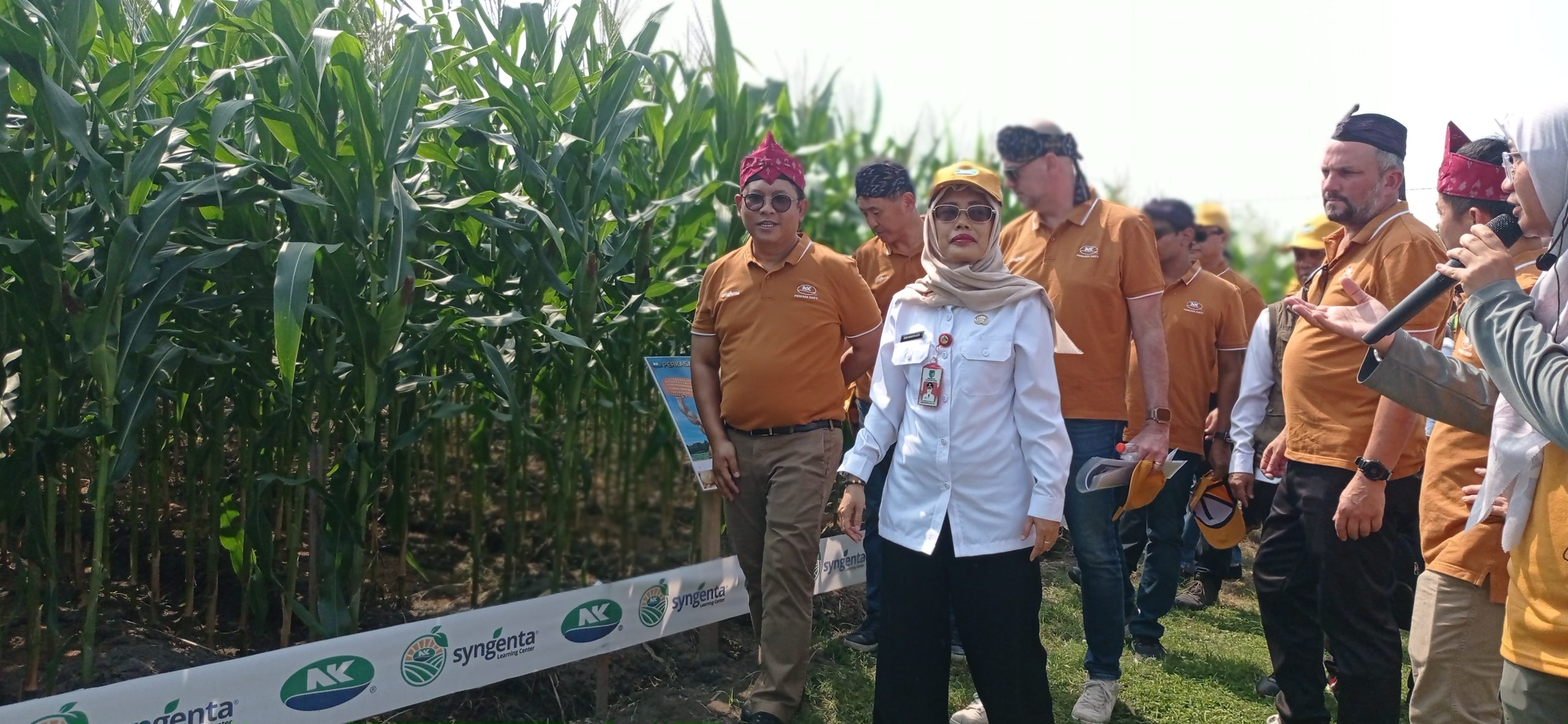 Wabup Kediri Hadiri Grand Launching dan Panen Perdana Jagung Syngenta NK Perkasa Sakti