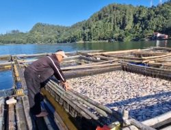 Ribuan Ikan Keramba di Telaga Ngebel Mati Mendadak, Petani Rugi hingga Puluhan Juta