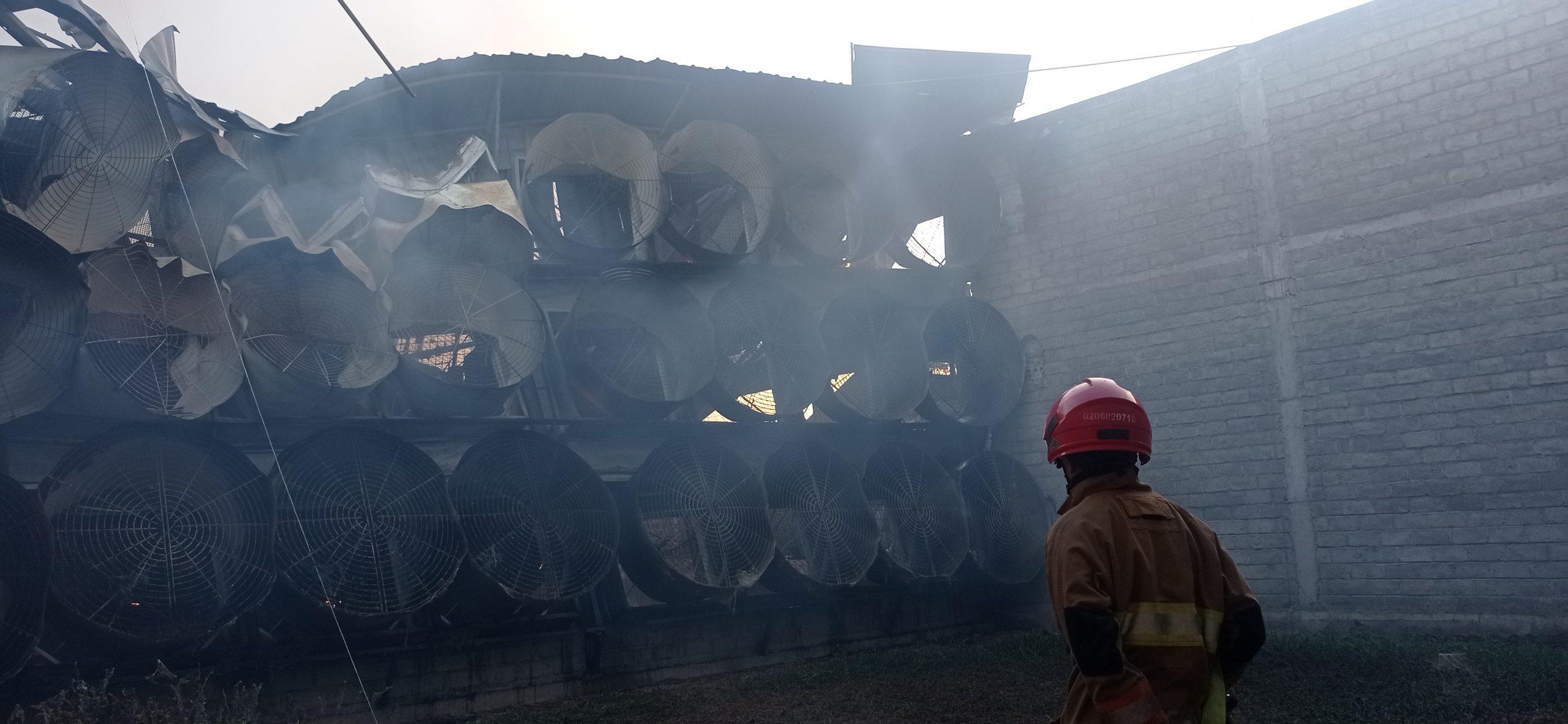 Kandang Ayam di Ringinrejo Kediri Terbakar, Warga Sempat Panik