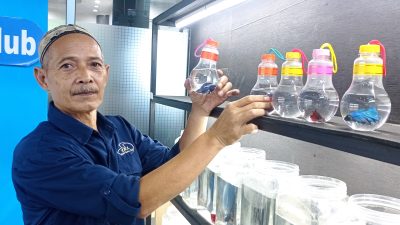 Ikan Cupang Semakin Diminati, Kediri Aquatic Edukasi Pelajar dan Masyarakat