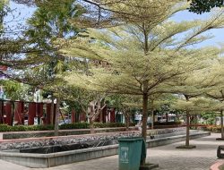 Nganjuk Kebut Persiapan Adipura 2025, Fokus pada Kebersihan dan RTH