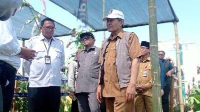 Pakar BRIN: Varietas Tebu Panjalu I Miliki Kualitas Unggul dan Siap Dikembangkan Nasional