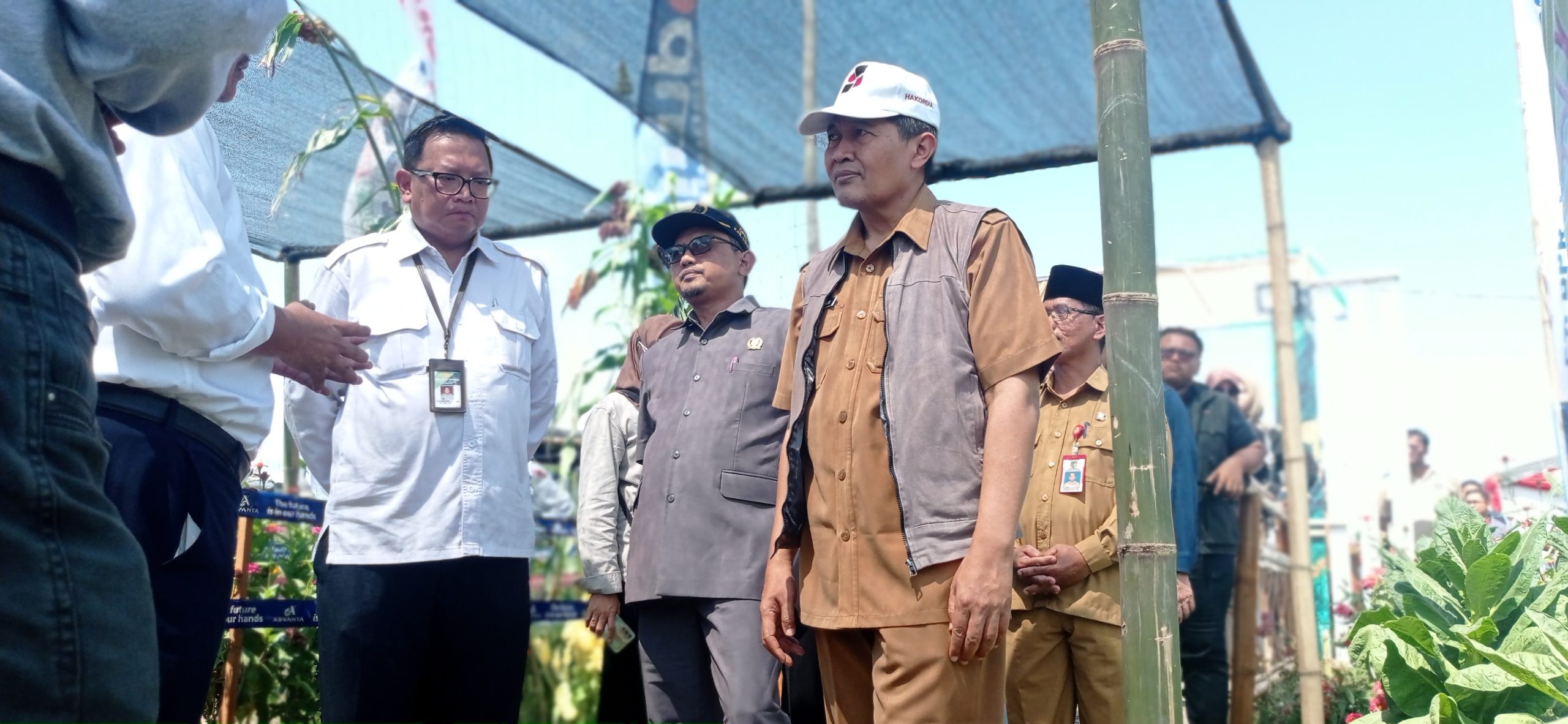 Pakar BRIN: Varietas Tebu Panjalu I Miliki Kualitas Unggul dan Siap Dikembangkan Nasional