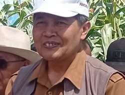 Pemkab Kediri Imbau Warga Kibarkan Bendera Merah Putih Selama Bulan Agustus