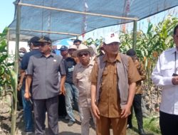 Dispertabun Kediri Gelar Inovasi Teknologi Pertanian 2025 Selama Tiga Hari