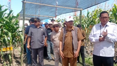 Dispertabun Kediri Gelar Inovasi Teknologi Pertanian 2025 Selama Tiga Hari