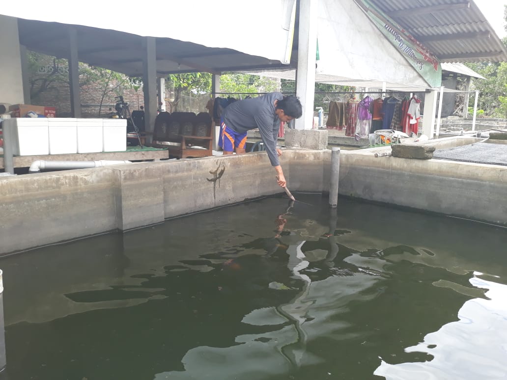 Meski Cuaca Tak Menentu, Produksi Ikan Konsumsi Tulungagung Justru Meroket