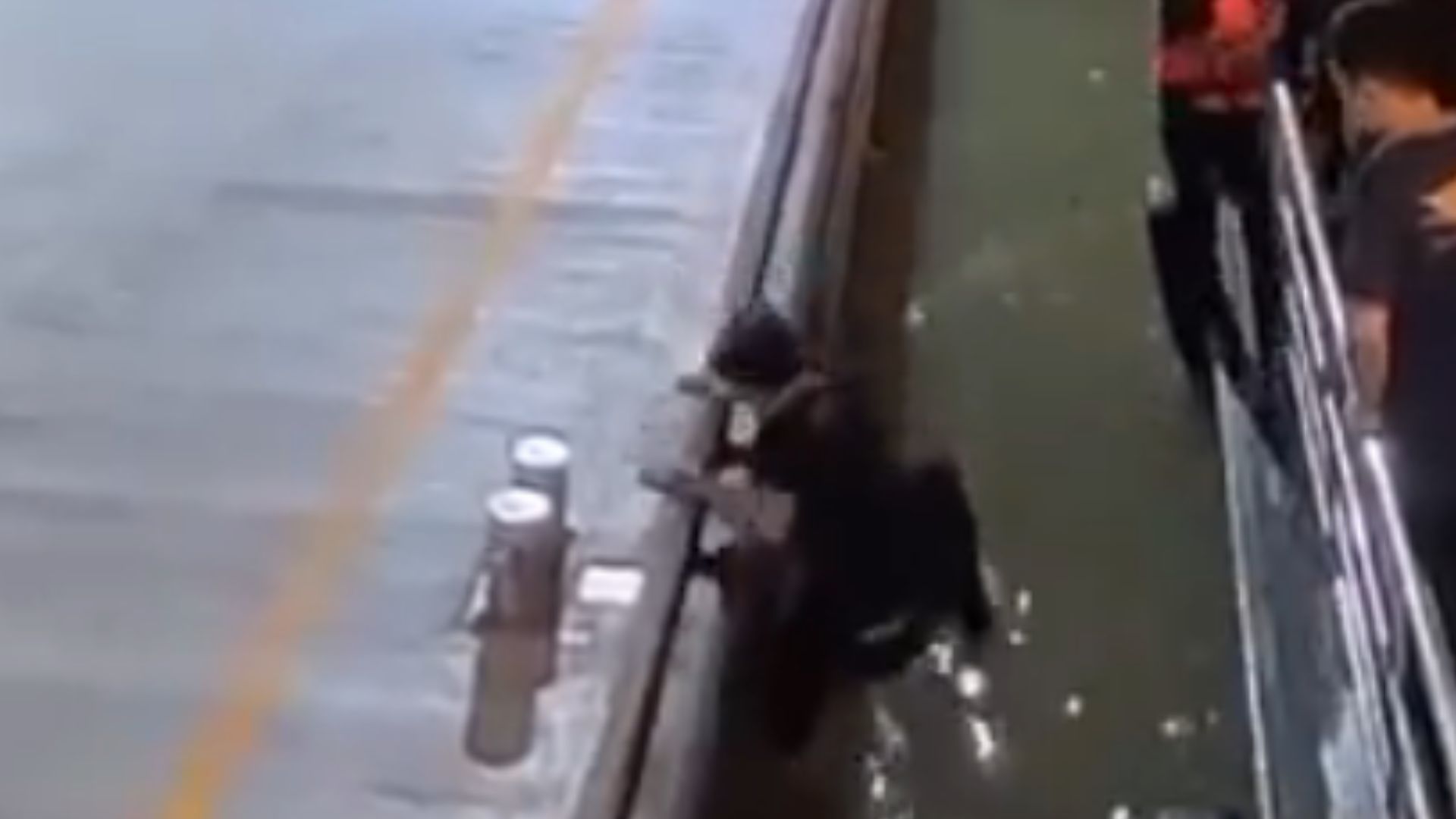 Viral! Detik-detik Turis Korea Tercebur Saat Coba Lompat dari Feri di Thailand