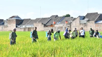 Penyemprotan Massal di Ponorogo Sasar 213 Hektare Sawah Terdampak Wereng, Ditarget Rampung Minggu Ini