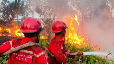 BNPB Catat 19 Kejadian Bencana dalam 24 Jam, Karhutla hingga Erupsi Gunung Lewotobi