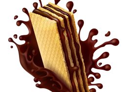 Tidak Hanya Wafer Naik, Ini 30 Jawaban Teka Teki MPLS Lainnya yang Perlu Kamu Tahu!