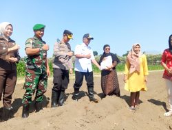 Semampir Jadi Titik Tanam Jagung Serentak di Kediri, Pondok Pesantren Didorong Jadi Motor Ketahanan Pangan