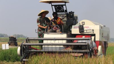 Kodim 0809/Kediri dan Pemkab Kediri Panen Raya, Dorong Swasembada Pangan 2025
