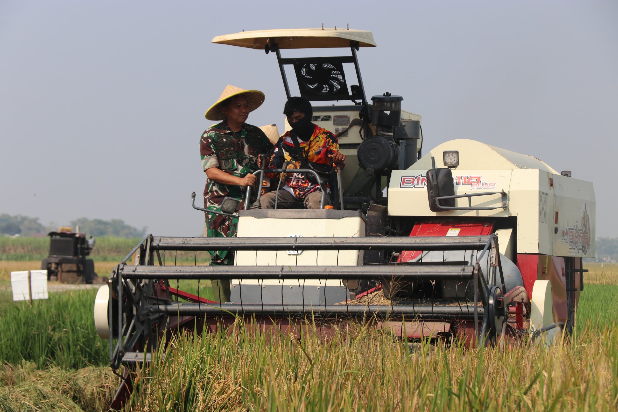 Kodim 0809/Kediri dan Pemkab Kediri Panen Raya, Dorong Swasembada Pangan 2025