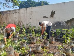 Agar Bermanfaat, Lahan Tidur di Area Kantor Kelurahan Tosaren Kota Kediri Digunakan untuk Ini