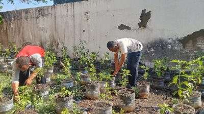 terus berinovasi mendukung program pemerintah dalam mewujudkan Asta Cita Ketahanan Pangan. Salah satu upaya nyata adalah
