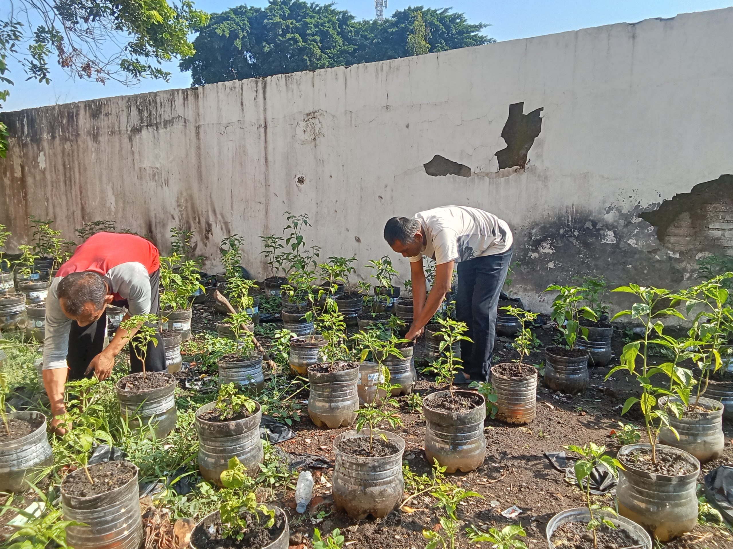 terus berinovasi mendukung program pemerintah dalam mewujudkan Asta Cita Ketahanan Pangan. Salah satu upaya nyata adalah
