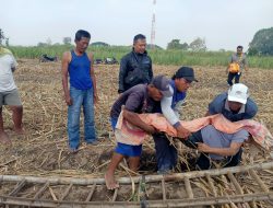 Perempuan Lansia Ditemukan Meninggal di Kebun Tebu Kota Kediri