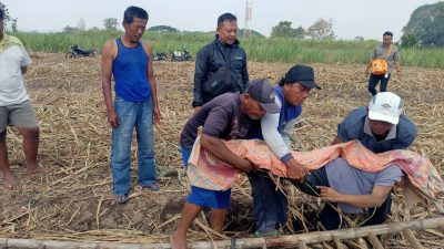 Perempuan Lansia Ditemukan Meninggal di Kebun Tebu Kota Kediri