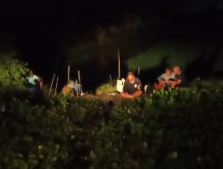 Lima Pemancing Asal Surabaya dan Gresik Dievakuasi Usai Perahu Tenggelam di Rawa Lamongan