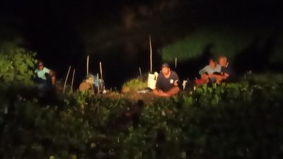 Lima Pemancing Asal Surabaya dan Gresik Dievakuasi Usai Perahu Tenggelam di Rawa Lamongan