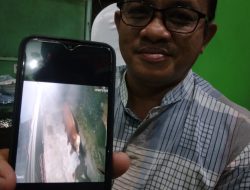 Maling Sapi Beraksi di Sananwetan, Blitar, Rugi Rp 25 Juta, Aksi Terekam CCTV
