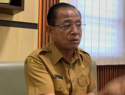 Tulungagung Juara Populasi Babi Jatim, Tembus 11 Ribu Ekor!