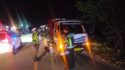 Bus Pariwisata Tabrak Truk di JLS Tulungagung, Satu Orang Tewas!