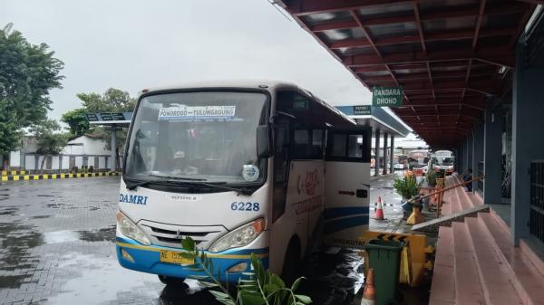 Usai Dua Bulan Terhenti, Damri Rute Ponorogo-Tulungagung Kembali Layani Penumpang