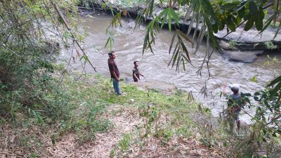 Bocah 5 Tahun Diduga Terseret Arus Sungai Pait di Jombang
