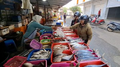 Cuaca Buruk, Harga Ikan Laut di Kediri Melambung