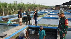 TNI AD Dorong UMKM Perikanan, Dandim Jombang Kunjungi Peternakan Lele
