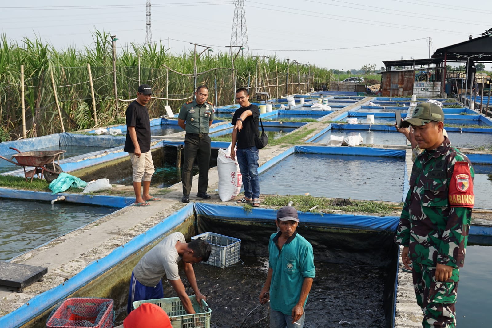 TNI AD Dorong UMKM Perikanan, Dandim Jombang Kunjungi Peternakan Lele