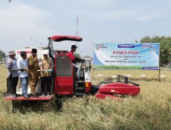 Pemkab Jombang Gandeng AFCO Group Kembangkan Pertanian Modern