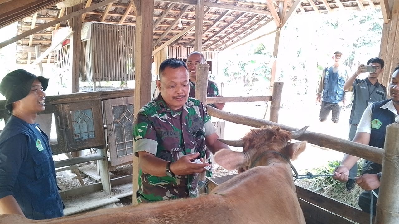 TMMD ke-125 di Jombang Sasar Kesehatan Ternak, Ratusan Sapi Divaksin di Desa Kromong