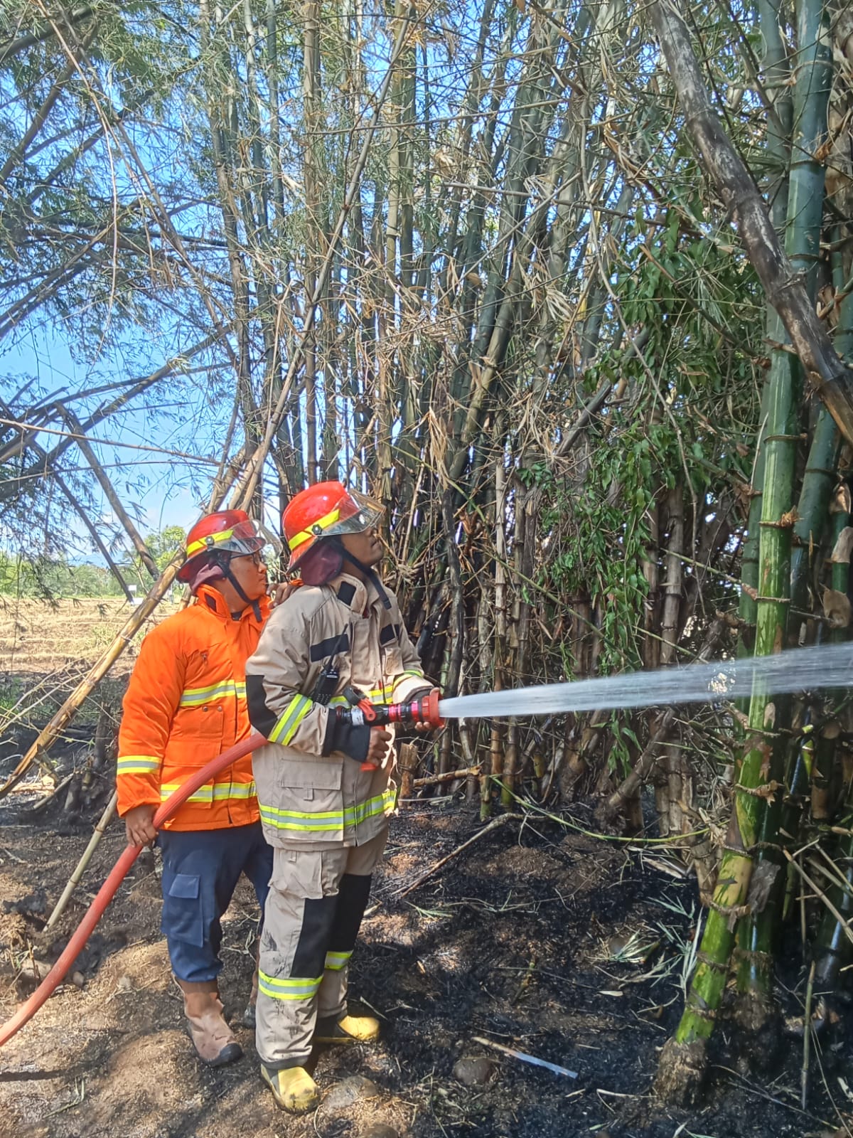 Rumpun Bambu di Berbek Terbakar, Diduga Akibat Pembakaran Sampah Tanpa Pengawasan
