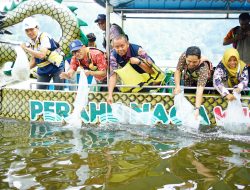 PJT I Tebar 30.000 Benih Ikan di Telaga Ngebel Demi Kelestarian Ekosistem