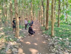 Sadis ! Pekerja Warung Jadi Korban Begal di Hutan Jati, Sutojayan,  Blitar, Motor Dibawa Kabur, Kepala Dikepruk Kayu