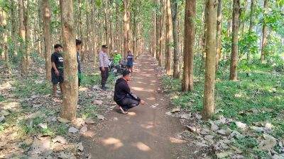 Pekerja Warung Jadi Korban Begal di Hutan Jati Blitar, Motor Dibawa Kabur, Kepala Luka Dipukul Kayu