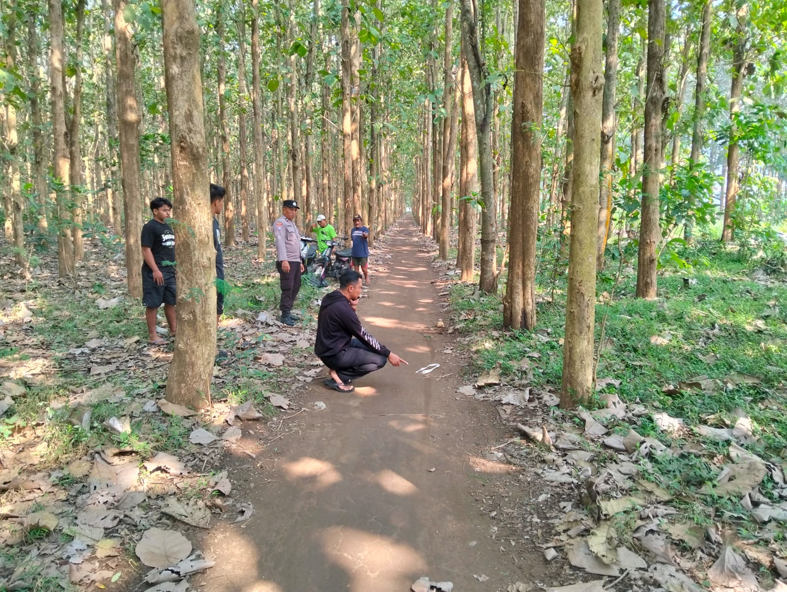 Pekerja Warung Jadi Korban Begal di Hutan Jati Blitar, Motor Dibawa Kabur, Kepala Luka Dipukul Kayu