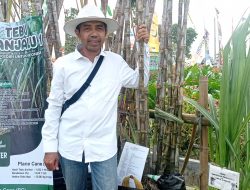 Tebu Panjalu I, Varietas Unggul Asal Kediri yang Siap Tembus Forum Nasional