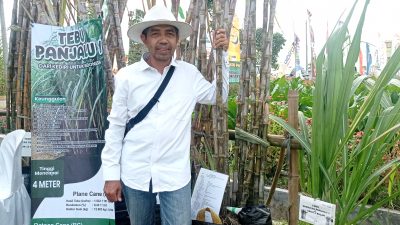 Tebu Panjalu I, Varietas Unggul Asal Kediri yang Siap Tembus Forum Nasional