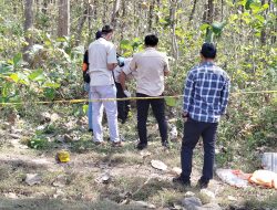 Mayat Perempuan Setengah Telanjang Ditemukan di Hutan Jati Sampung, Diduga Korban Pembunuhan