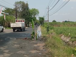 Jalan dan Gorong-Gorong Rusak di Desa Gogorante, Ngasem, Ancam Keselamatan Pengendara